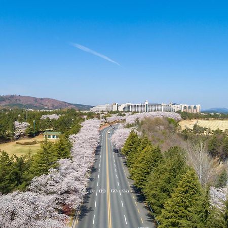 Kensington Resort Γκιονγκγού Εξωτερικό φωτογραφία