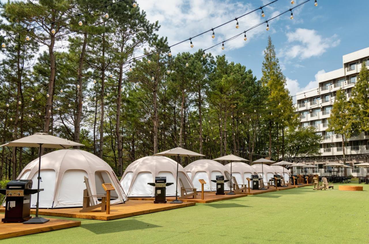 Kensington Resort Γκιονγκγού Εξωτερικό φωτογραφία