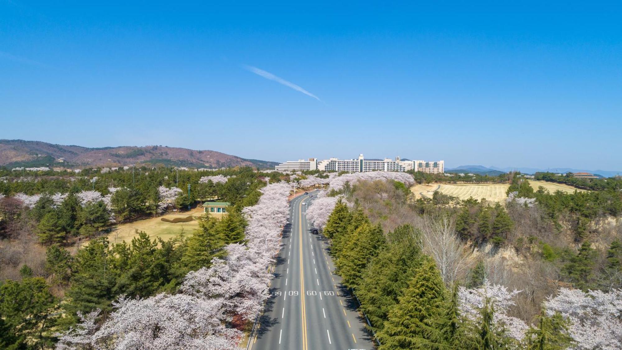 Kensington Resort Γκιονγκγού Εξωτερικό φωτογραφία